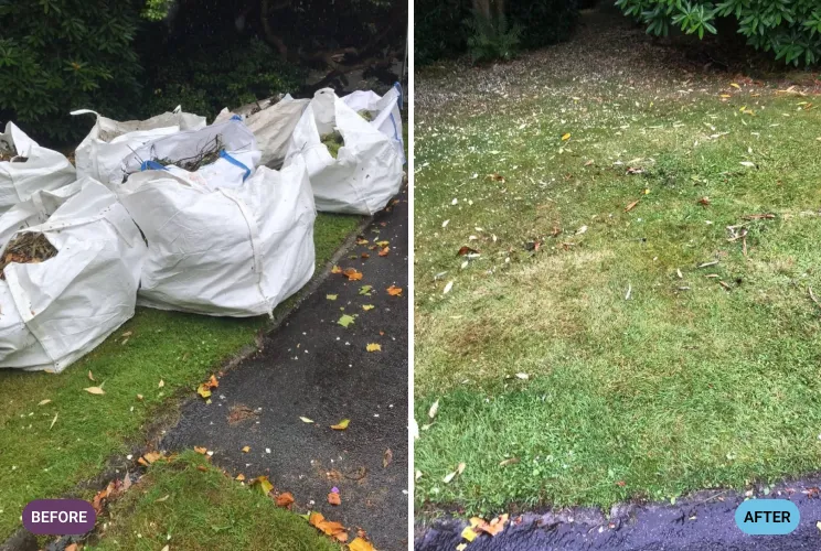 Garden Before and After
