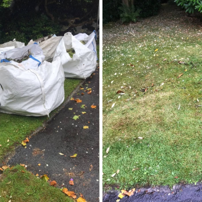 Garden Before and After with border